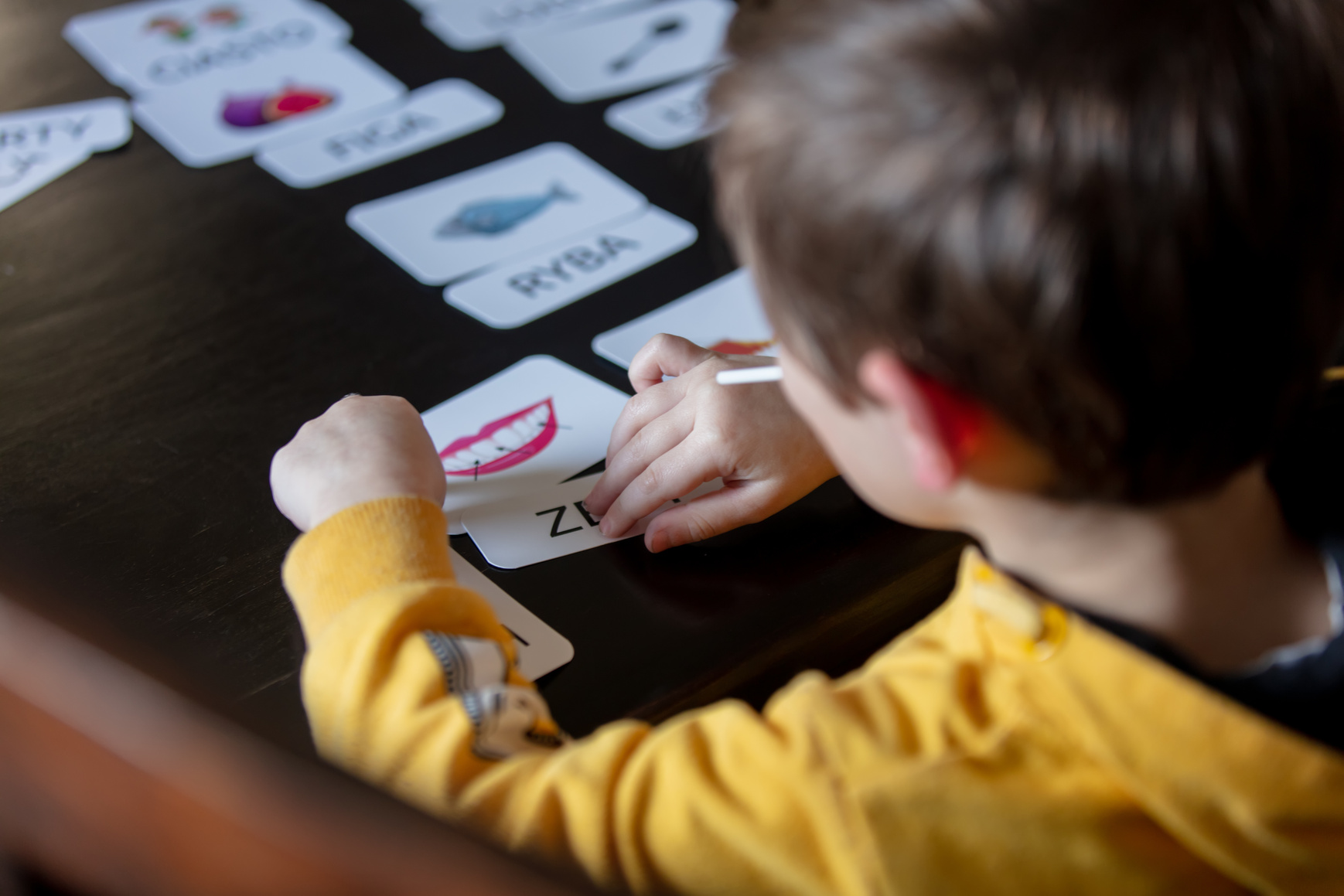 Little Boy Learns Words from Cards under the ABA Therapy Program